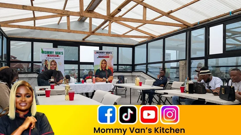 mommy van kitchen
